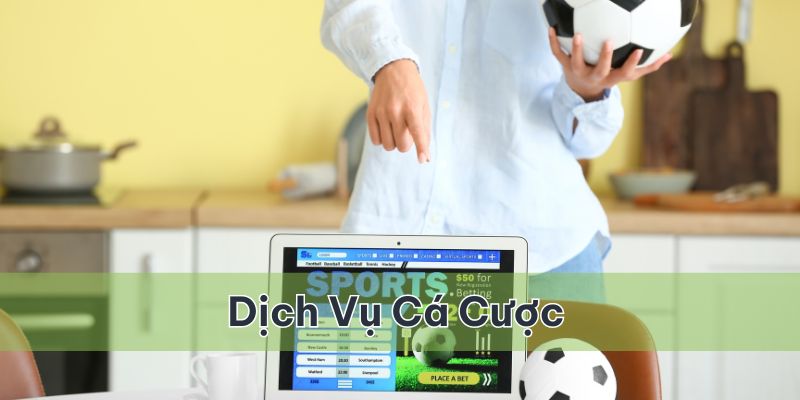 Nền tảng cung cấp các dịch vụ về cá cược thể thao online chất lượng